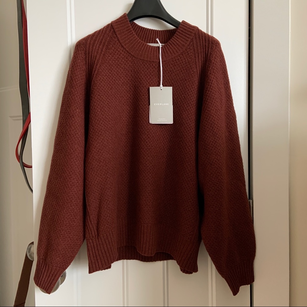NWT Everlane Oversized Stroopwafel Crew ReCashmere - Picture 5 of 10